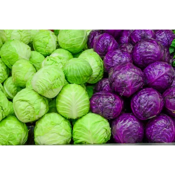 Cabbage (39)-2331134-29249.webp